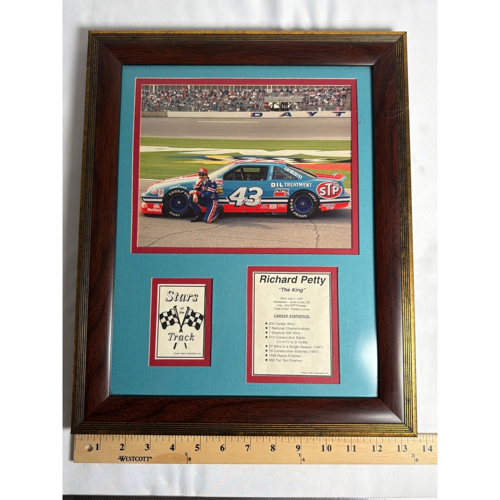 Dream Team Collectibles Richard Petty Framed Photo Collage Unisex 13x16 Brown EX